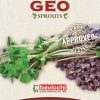 Bavicchi Germogli | Semi Per Germogli Di Grano Saraceno Bio, 90 G