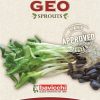 Bavicchi Germogli | Semi Per Germogli Di Girasole Bio, 80 G
