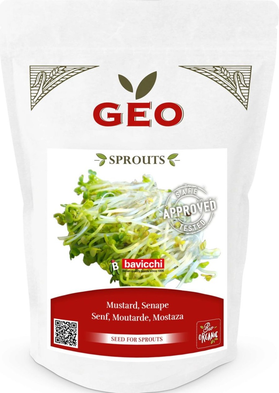 Bavicchi Germogli | Semi Per Germogli Di Senape Bio, 300 G