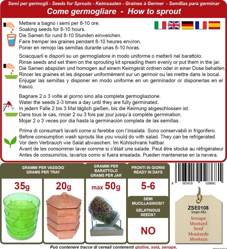 Bavicchi Germogli | Semi Per Germogli Di Senape Bio, 300 G