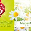 TEEKANNE Te E Tisane | Tisana Bio Armonia - Anice, Finocchio E Camomilla, 20 Bustine A Doppia Camera (40 G)