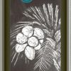 Ölmühle Solling Oli Vegetali | Olio Di Cocco Mct Bio, 500 Ml