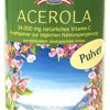 BioKing Frutta In Polvere | Acerola In Polvere Bio, 200 G