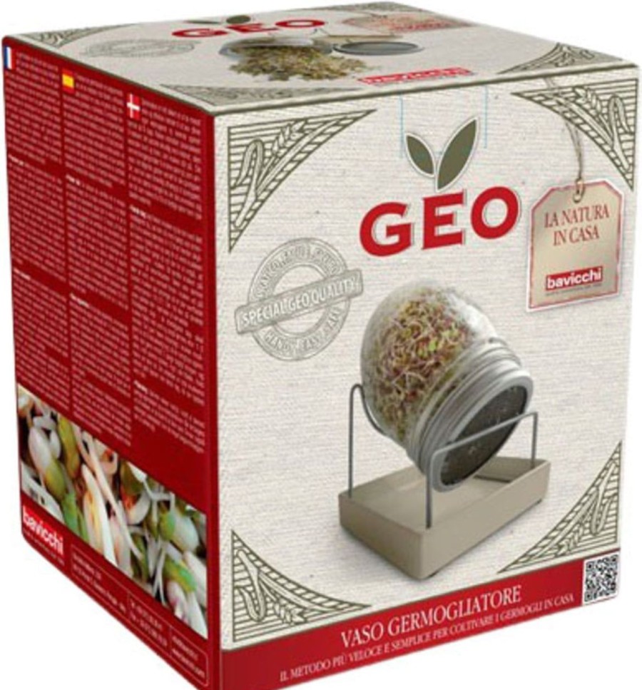 Bavicchi Germogli | Germogliatore In Vetro Geo