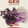 Bavicchi Germogli | Semi Per Germogli Di Ravanello Rosso Bio, 15 G