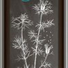 Ölmühle Solling Oli Vegetali | Olio Di Cumino Nero Egiziano Filtrato, 500 Ml