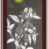 Ölmühle Solling Olio Aromatizzato | Olio Aromatizzato Al Peperoncino Naturland, 250 Ml
