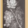 Ölmühle Solling Aceto Di Vino | Aceto Di Vino Bianco, 250 Ml