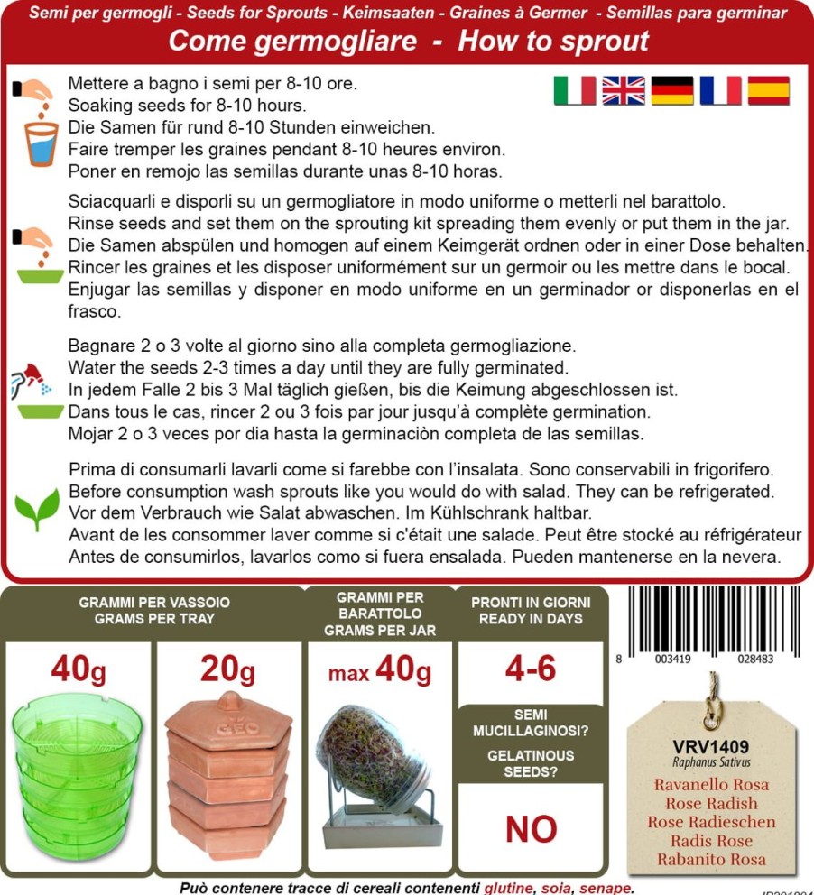 Bavicchi Germogli | Semi Per Germogli Di China Rose Bio, 20 G