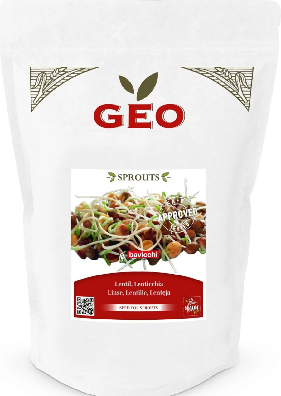 Bavicchi Germogli | Semi Per Germogli Di Lenticchia Bio, 600 G