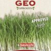 Bavicchi Germogli | Semi Per Germogli Di Farro Bio, 80 G