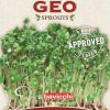 Bavicchi Germogli | Semi Per Germogli Di Cavolo Broccolo Bio, 13 G