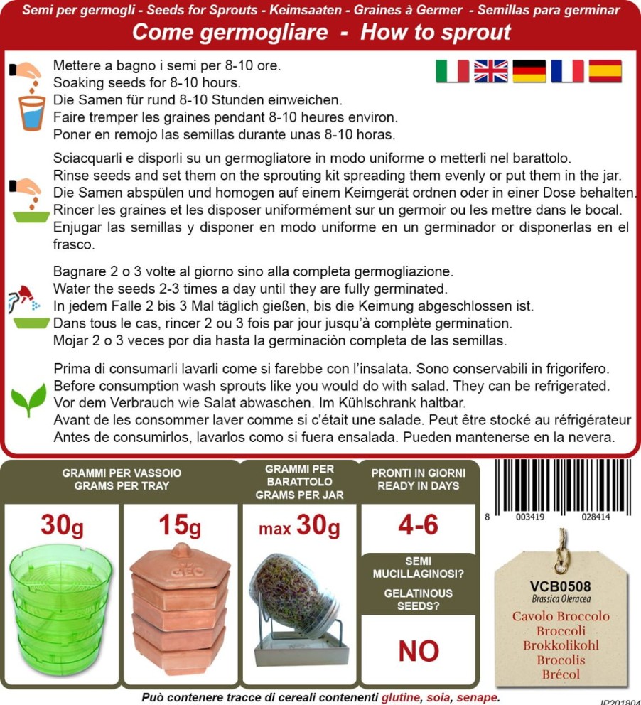 Bavicchi Germogli | Semi Per Germogli Di Cavolo Broccolo Bio, 13 G