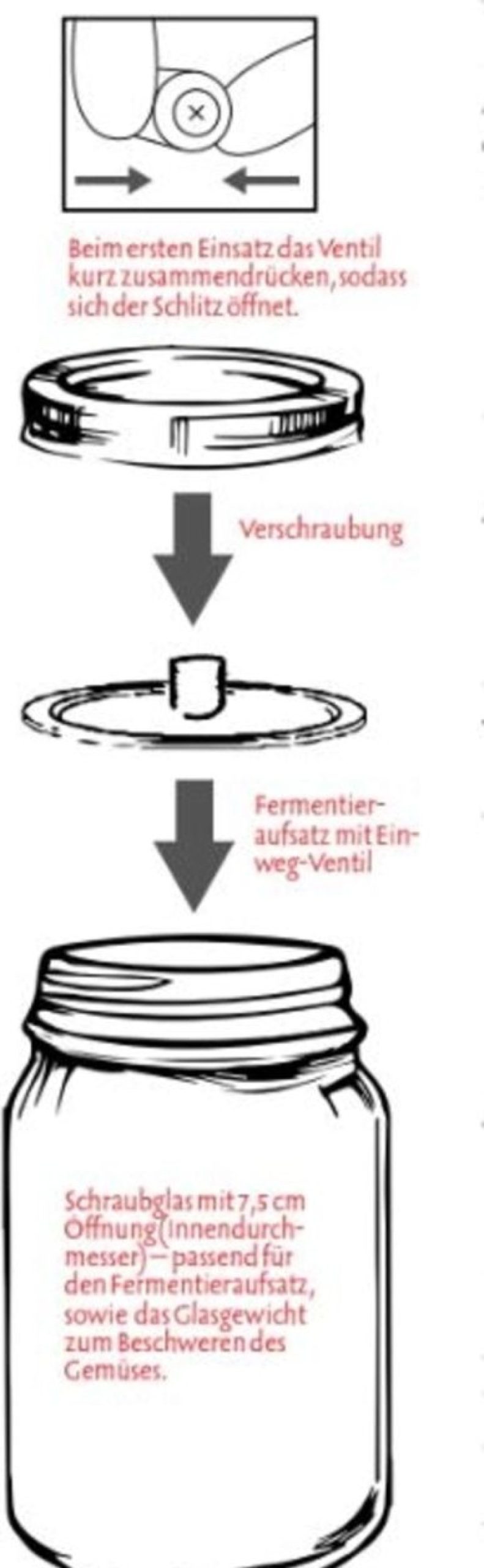 Khoysan Meersalz Preparazione | Set Completo Per Fermentazione, 1 L
